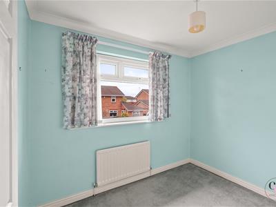 Picture 15